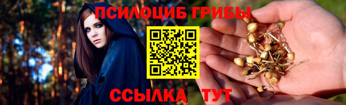 Псилоцибиновые грибы Psilocybine cubensis  Вход с VPN  Троицк 